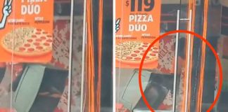 ¡Guácala! Reconocida pizzería rehúsa las cajas de la basura