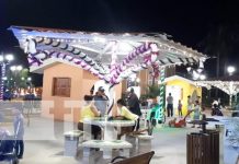 Foto: Árbol y luces navideñas engalanan el nuevo parque de Potosí en Rivas / TN8