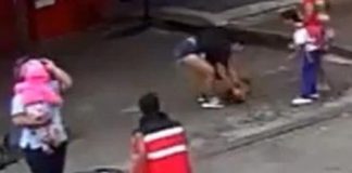 ¡Triste! Desalmado conductor atropella y golpea a perro en Colombia