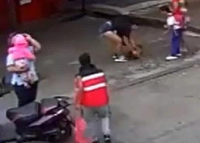 ¡Triste! Desalmado conductor atropella y golpea a perro en Colombia
