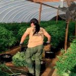 Hallan 4 muertos en granja de marihuana en Oklahoma, Estados Unidos Hallan 4 muertos en granja de marihuana en Oklahoma, Estados Unidos