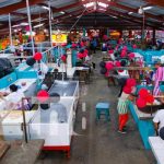 Mejores condiciones para comerciantes del sector cárnico en Masaya Mejores condiciones para comerciantes del sector cárnico en Masaya