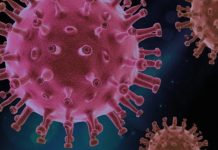 Hallan proteína del COVID-19 que abre la puerta a nuevos tratamientos