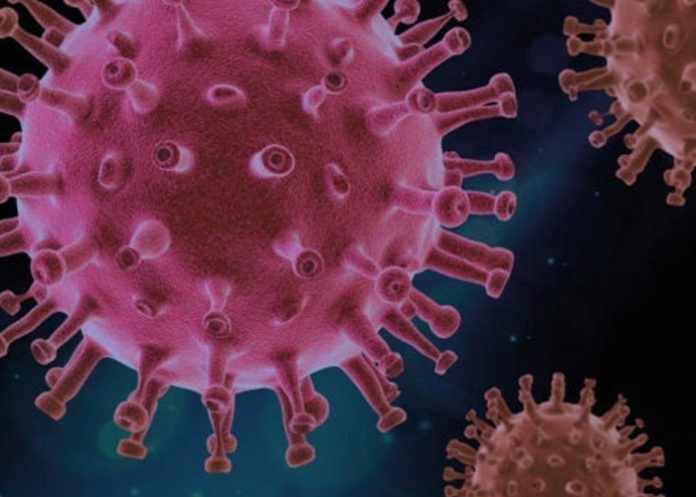 Hallan proteína del COVID-19 que abre la puerta a nuevos tratamientos