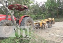 Hombre pierde la vida tras pasarle un tractor encima, en Estelí Hombre pierde la vida tras pasarle un tractor encima, en Estelí