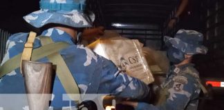 Llega el material electoral al Caribe Sur Llega el material electoral al Caribe Sur