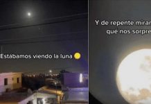 “Estábamos viendo la Luna y de repente…” Aseguran que un ovni atraviesa la luna “Estábamos viendo la Luna y de repente…” Aseguran que un ovni atraviesa la luna