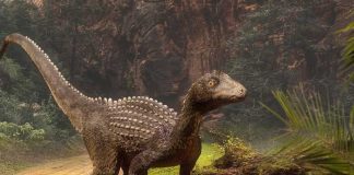 En Rumania: Científicos descubren antigua especie de dinosaurio