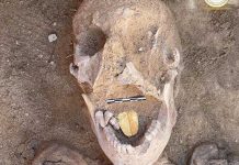 ¡Insólito! Encuentran momias con “lenguas” de oro en Egipto ¡Insólito! Encuentran momias con “lenguas” de oro en Egipto