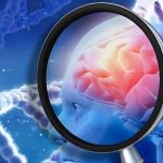 Nuevo fármaco contra el Alzheimer da excelentes resultados Nuevo fármaco contra el Alzheimer da excelentes resultados