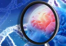 Nuevo fármaco contra el Alzheimer da excelentes resultados