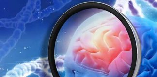 Nuevo fármaco contra el Alzheimer da excelentes resultados