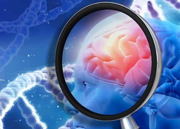 1 Nuevo fármaco contra el Alzheimer da excelentes resultados