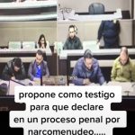 Citan a perrito para que testifique en un proceso penal