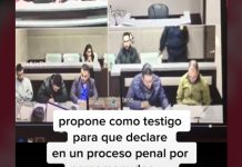 ¿Burla o solución? Citan a perrito para que testifique en proceso penal Citan a perrito para que testifique en un proceso penal