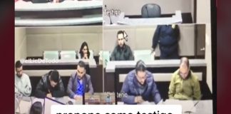 Citan a perrito para que testifique en un proceso penal