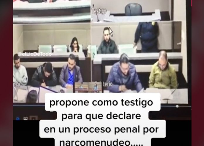 Citan a perrito para que testifique en un proceso penal