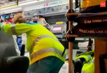 ¡De locos! Mujer intenta viajar con una pistola dentro de una gallina ¡De locos! Mujer intenta viajar con una pistola dentro de una gallina