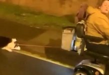 Arden de indignación: Perrito es arrastrado por su dueña en una moto