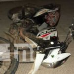 Joven perdió la vida al chocar su motocicleta con un equino en Kukra Hill Joven perdió la vida al chocar su motocicleta con un equino en Kukra Hill