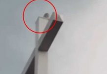 ¿Qué es eso? Grabó una extraña criatura en la cruz de una iglesia