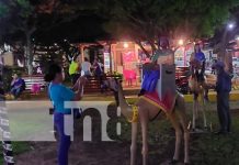 Luces navideñas ya están instaladas en el parque central de Nandaime Foto: Luces navideñas ya están instaladas en el parque central de Nandaime / TN8