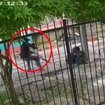Ladrón no tiene compasión y le robó a un niño en Colombia