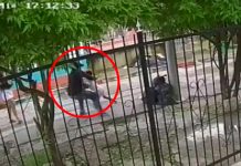 Video: Ladrón apunta con pistola a un niño y le roba el celular en Colombia Ladrón no tiene compasión y le robó a un niño en Colombia