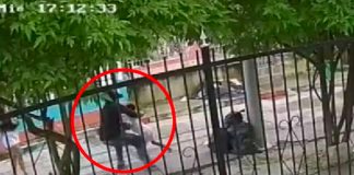 Ladrón no tiene compasión y le robó a un niño en Colombia