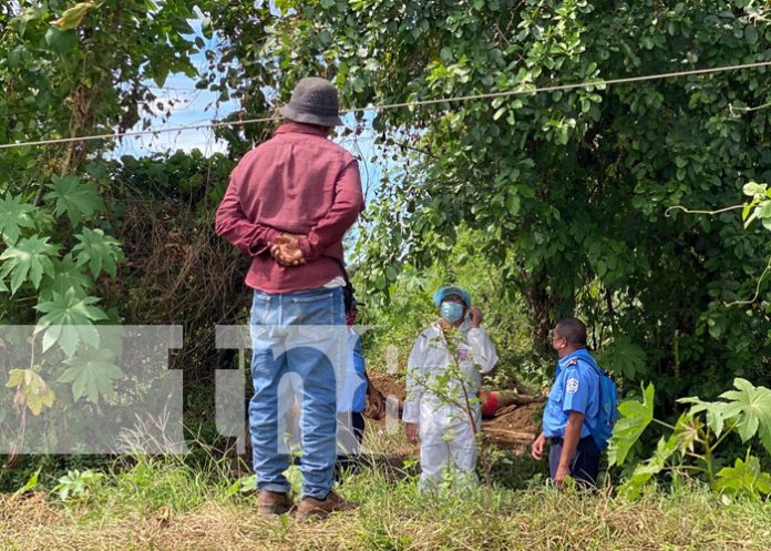 2 Macabro hallazgo, encuentran a hombre muerto en finca de El Viejo, Chinandega