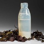 Impresionante, crearán bolsas y envases a base algas marinas mpresionante, crearán bolsas y envases a base algas marinas