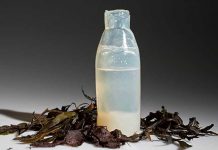 Impresionante, crearán bolsas y envases a base algas marinas mpresionante, crearán bolsas y envases a base algas marinas