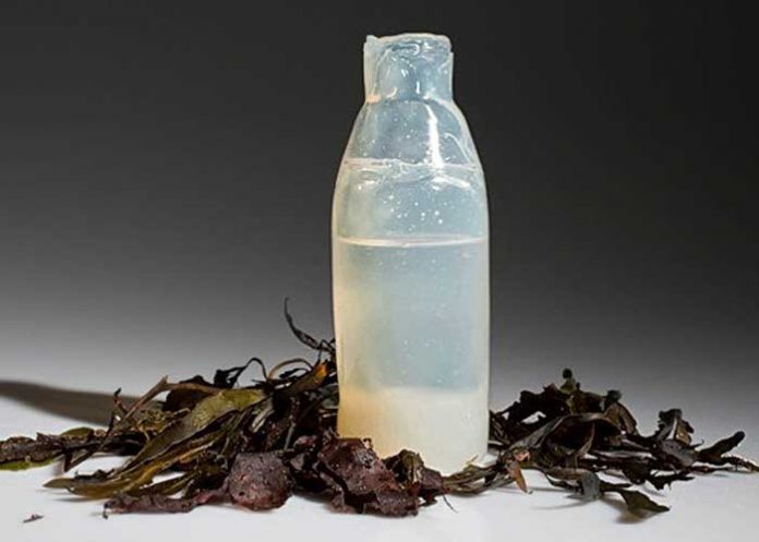 mpresionante, crearán bolsas y envases a base algas marinas