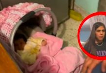 Video: Mujer ‘cabeza de gallina’ olvida a su bebé en casa de sus familiares Mujer olvida a su bebé en la casa de sus familiares