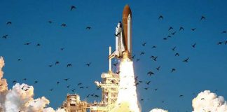 ¡De terror! Encuentran restos de nave espacial de la NASA en Triángulo de Las Bermudas