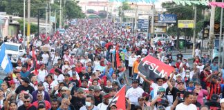Caminatas de victorias electorales congregan a miles de ciudadanos en Managua