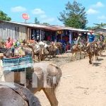 Gran comercio se genera en el Puerto de Montaña de Unawas en Rosita