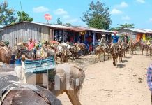 Gran comercio se genera en el Puerto de Montaña de Unawas en Rosita Gran comercio se genera en el Puerto de Montaña de Unawas en Rosita