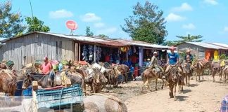Gran comercio se genera en el Puerto de Montaña de Unawas en Rosita