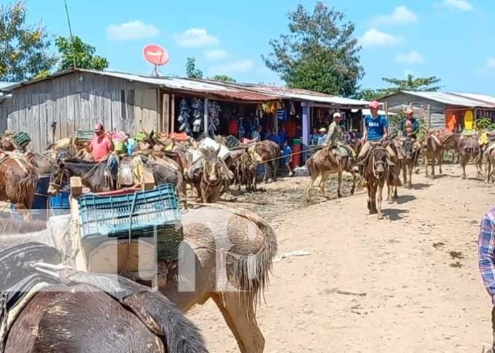 Gran comercio se genera en el Puerto de Montaña de Unawas en Rosita