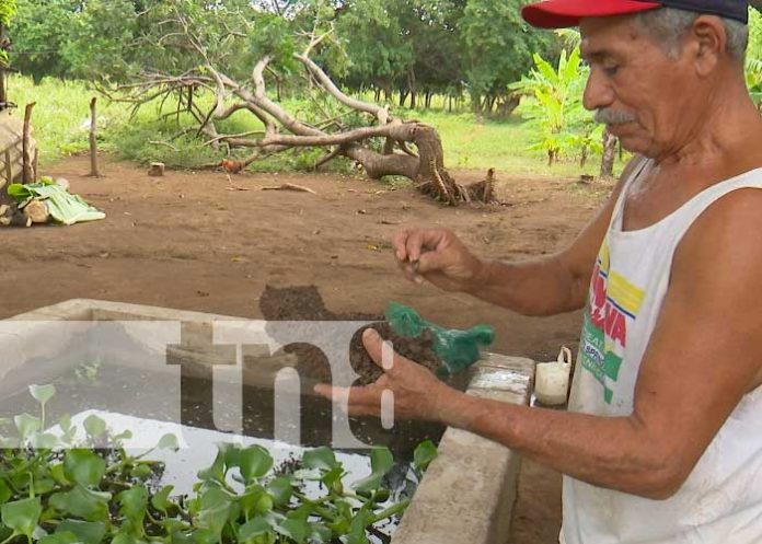 3 Inauguran en Las Jagüitas, Managua, estanque para la producción de alevines