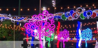 ENATREL instala árboles navideños y adornos en parques, avenidas y rotondas de Managua