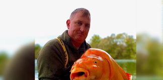 En Francia pescan un pez dorado de 30 kg (Fotos)