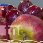 Foto: Producción de frutas en Nicaragua / TN8