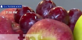 Foto: Producción de frutas en Nicaragua / TN8