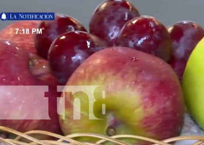 3 Foto: Producción de frutas en Nicaragua / TN8