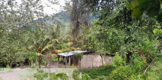 Hombre mata a su mujer y suegra en Wiwili, Jinotega