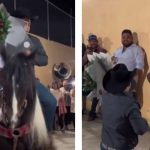 Novio llega a pedir matrimonio montado en un caballo