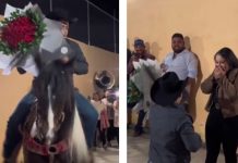 De película: Original novio llega a proponer matrimonio montado a caballo Novio llega a pedir matrimonio montado en un caballo