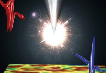 Nuevo microscopio revela nuevas características
